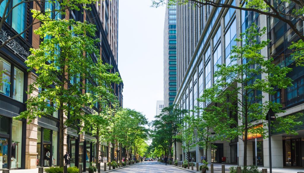 Marunouchi office street in early summer