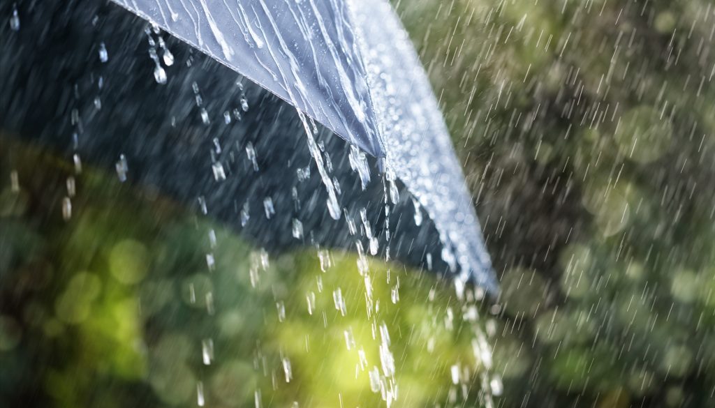 Rain on umbrella