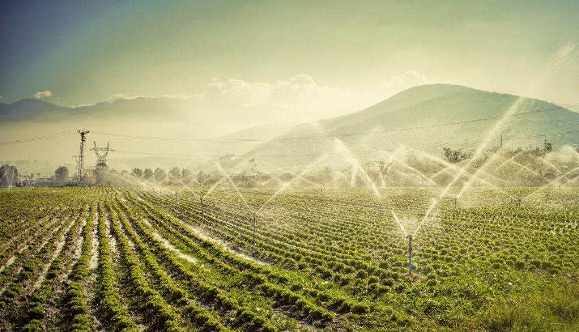 farm irrigation
