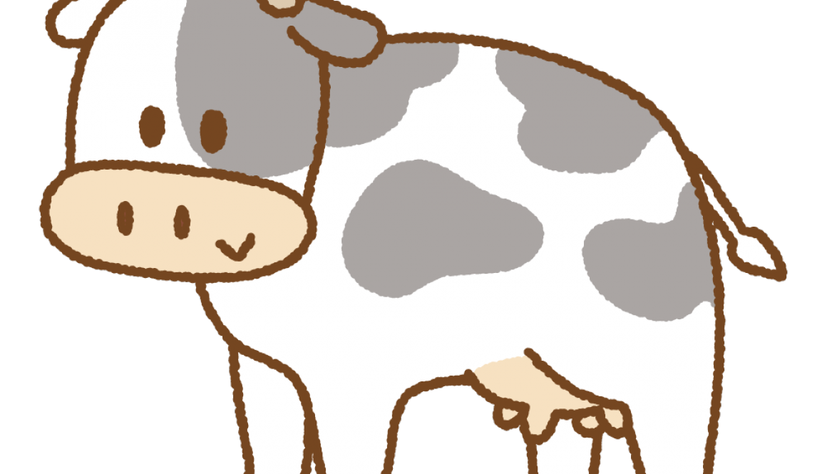 cow_female