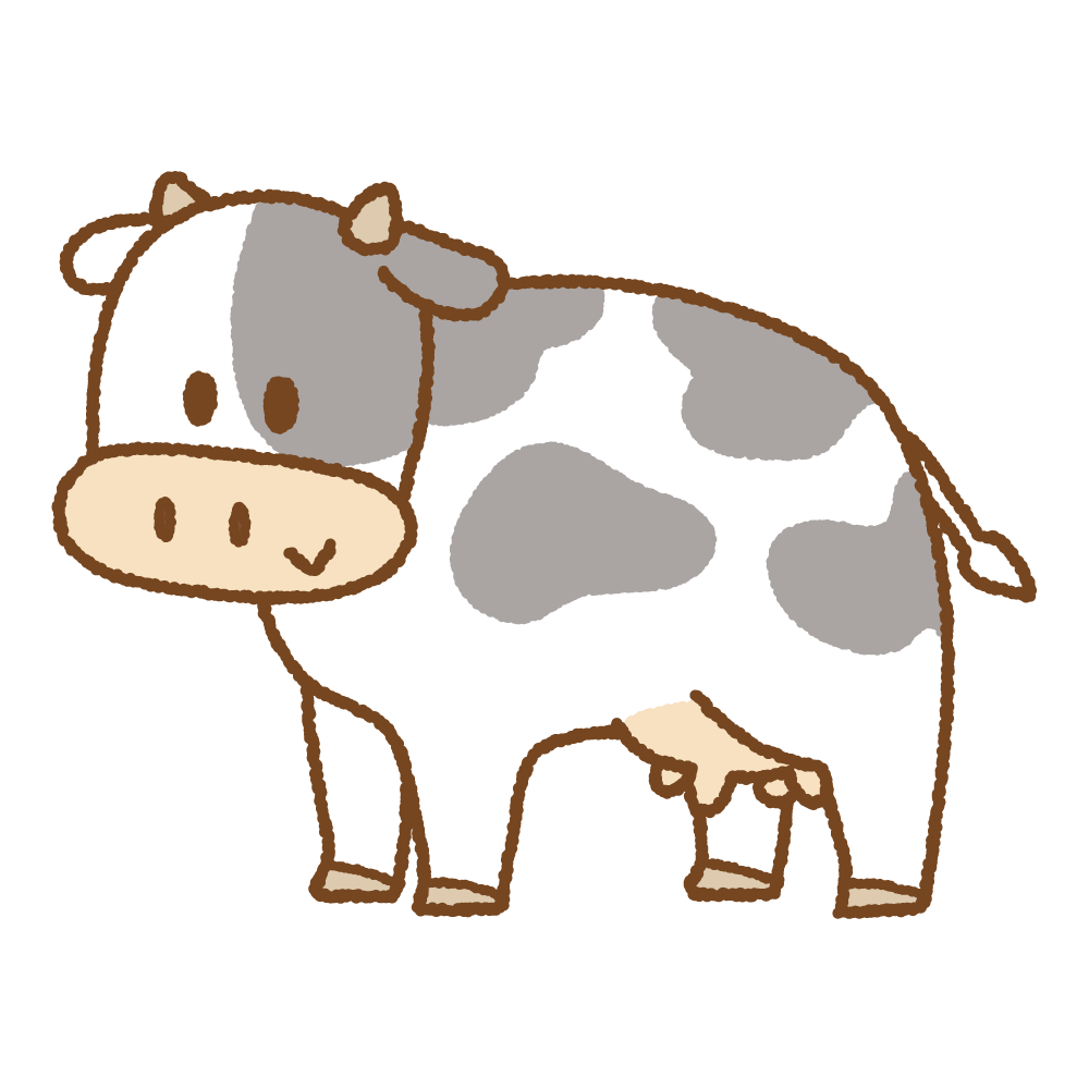 cow_female
